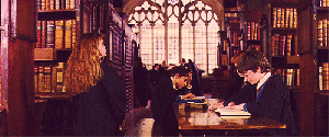 hermione reading gif